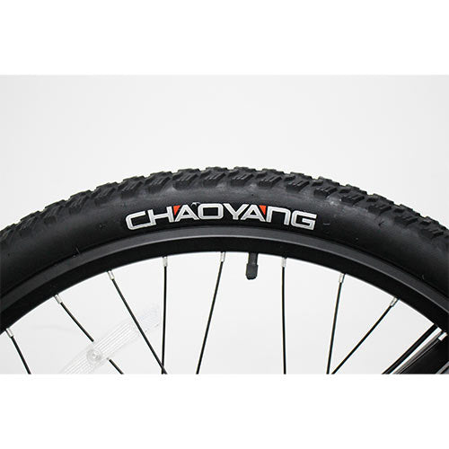 Lgp Tire For E Bike Rebel