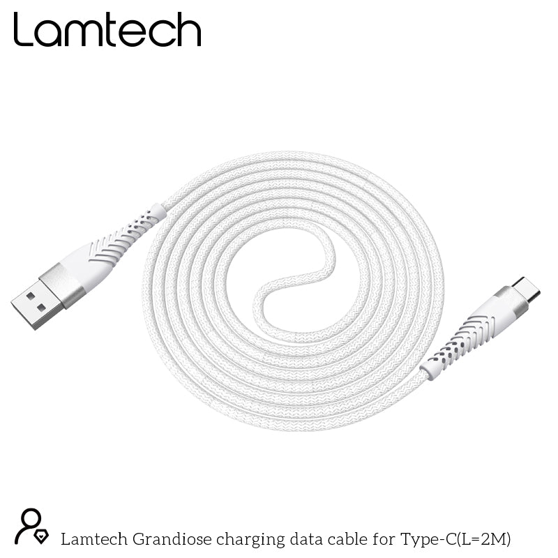 Lamtech Type C V2,0 High Quality Unbreakable Cable Silver 2 M