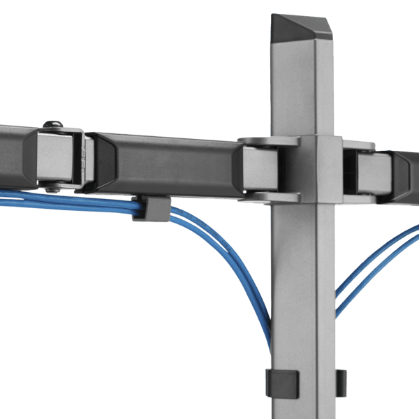 White Shark 2 Monitors Desktop Mount Amenhotep Ii