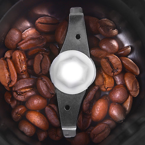 Adler Stainless Steel Coffee Grinder