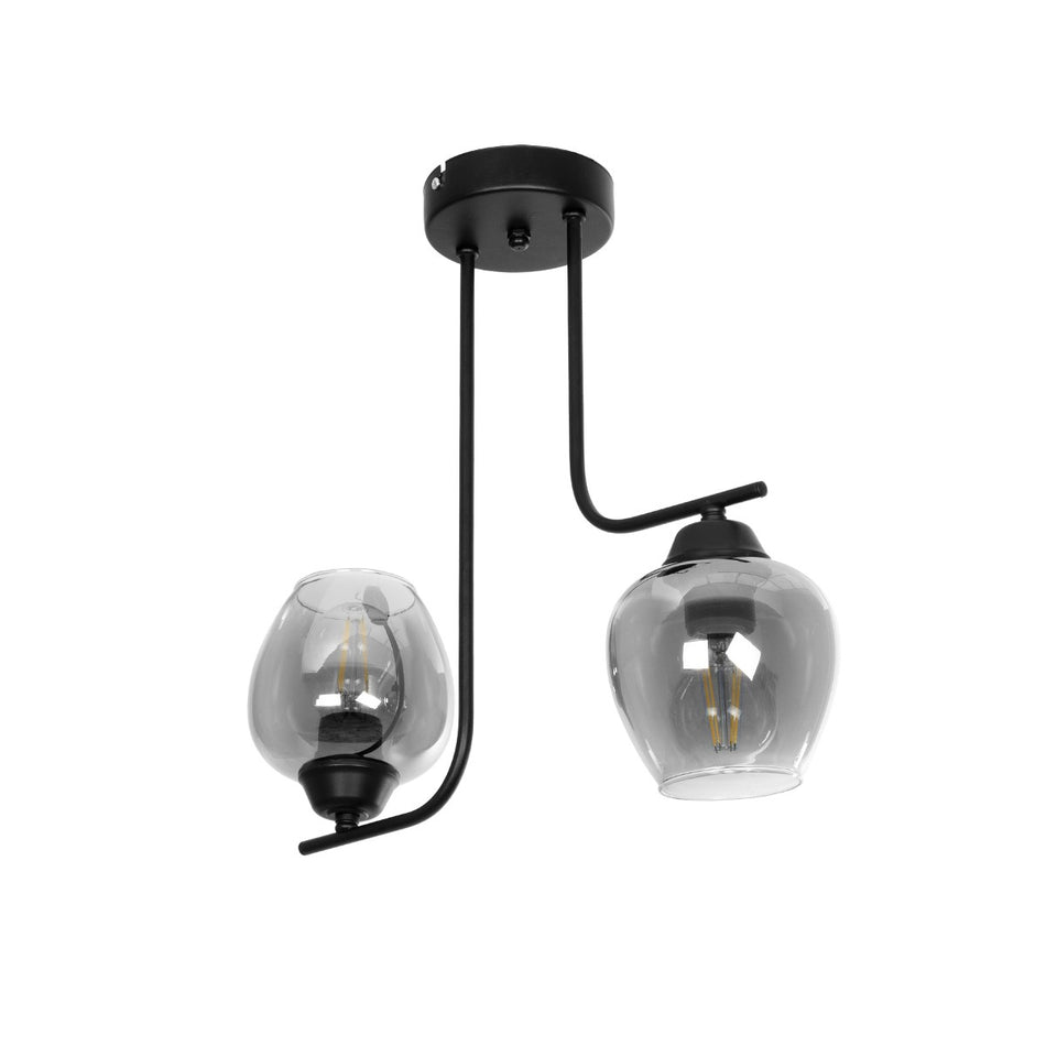 GLOBOSTAR® GLOSSA 201-0091 Vintage Φωτιστικό Οροφής με Ντουί 2 x E27 AC 220-240V IP20 - Μαύρο & Μαύρο Φιμέ - Μ40 x Π15 x Υ17cm