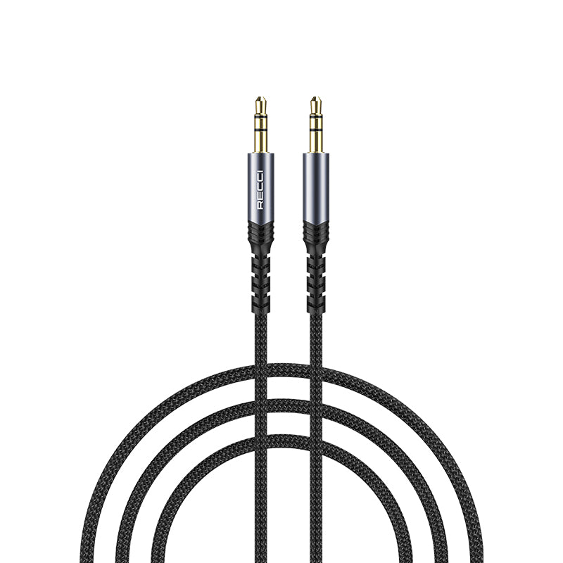 Recci RDS-A28 Câble mâle 3.5mm - mâle 3.5mm Noir 1m