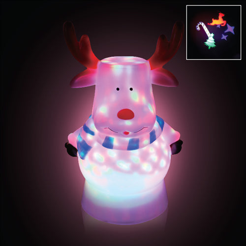 LED PROJECTOR ΤΑΡΑΝΔΟΣ USB/AAAbattery