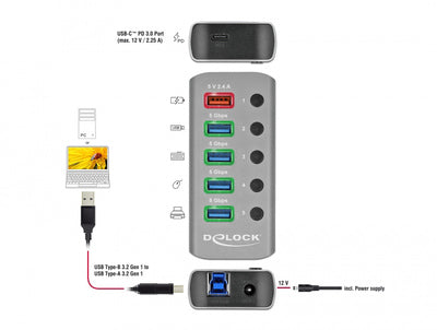 DELOCK USB hub 63263 με διακόπτες, 6x θυρών, 5Gbps, 12V/2.25A PD, γκρι
