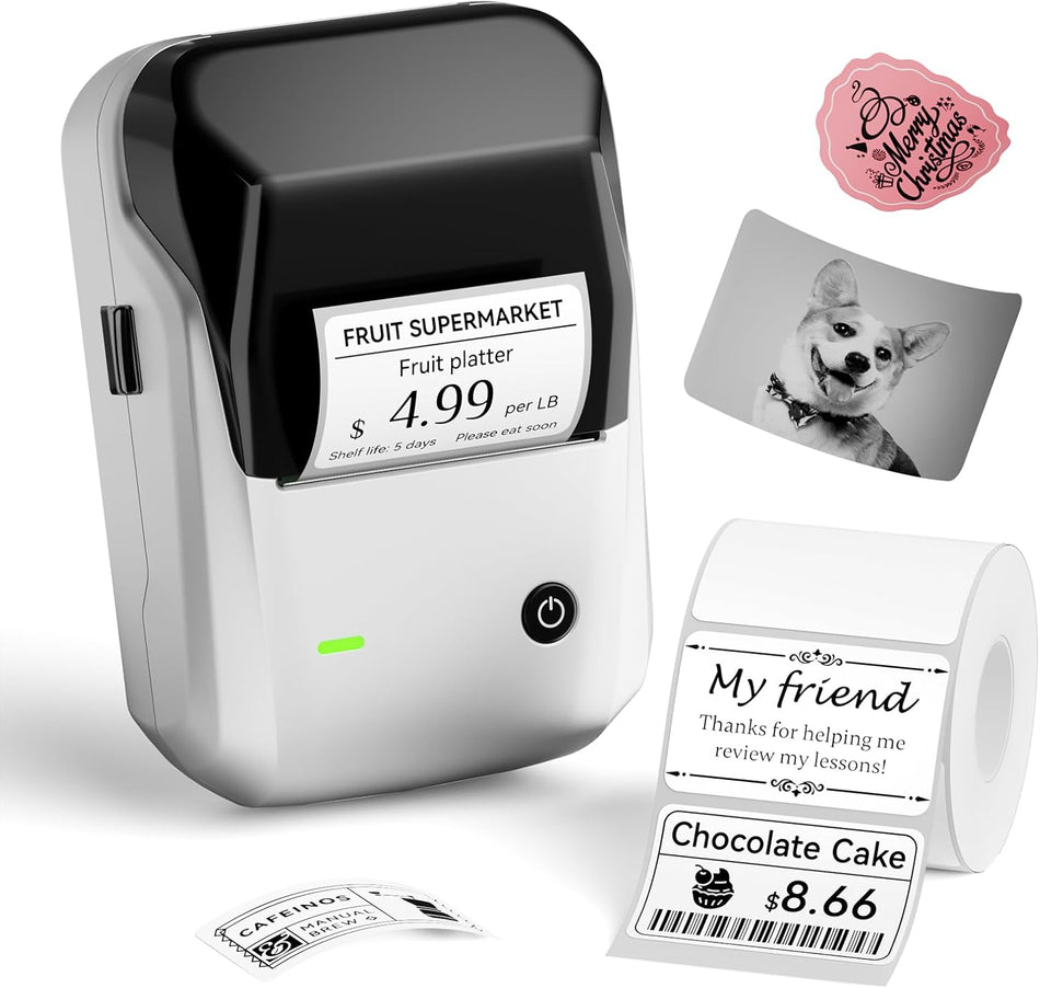 Niimbot Thermal Label Printer B1 2 Inch Silver