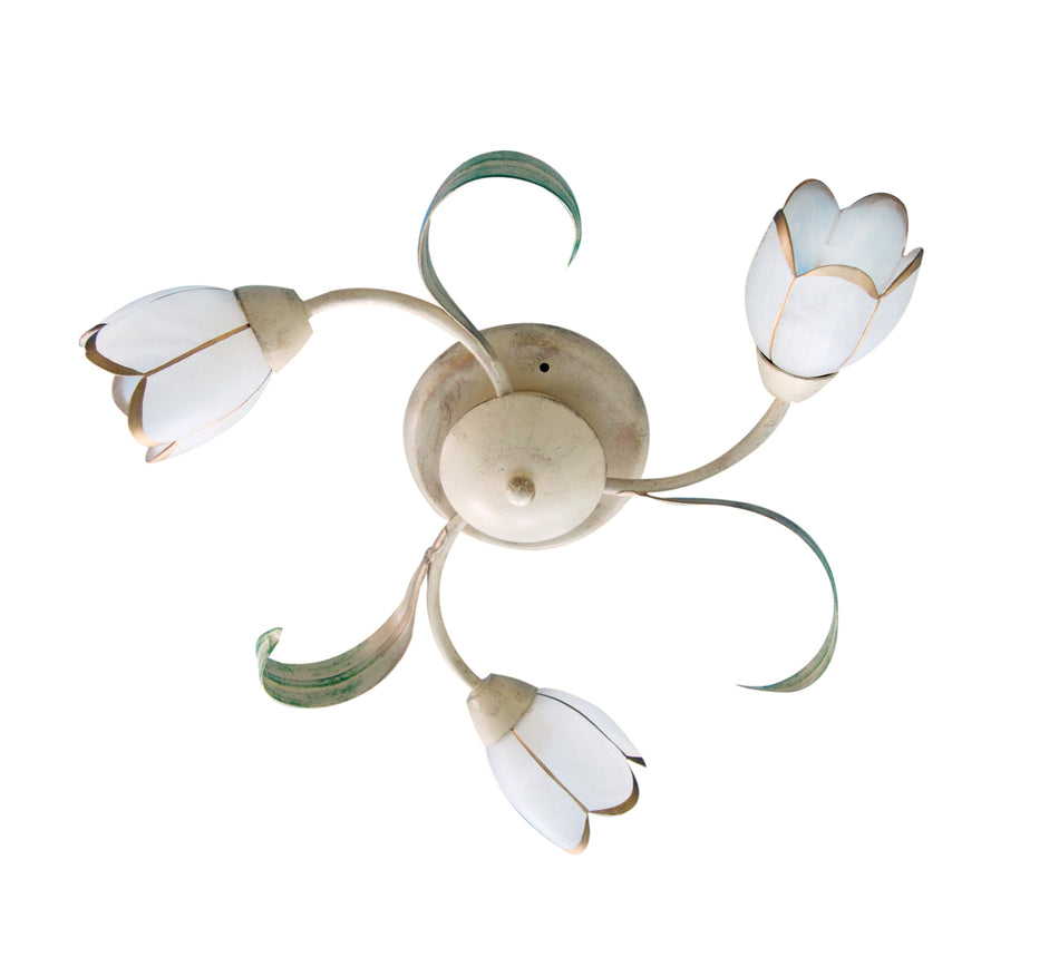 MX10500E-3 CAREN Δ4