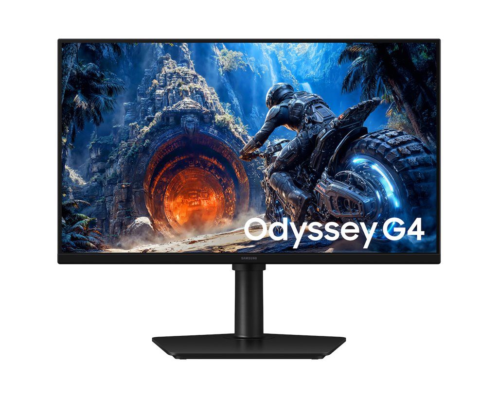 Οθόνη Samsung 25" Odyssey G4 LS25HG402EUXEN IPS FHD 300Hz