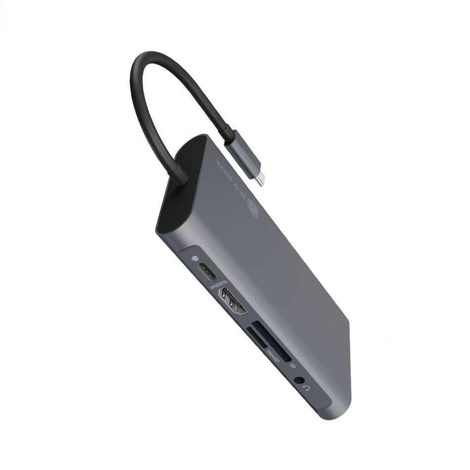 Icy Box 10 In 1 Type C Dock (Hub + Hdmi + Vga + Card Reader + 3.5 Mm) Pd100 W