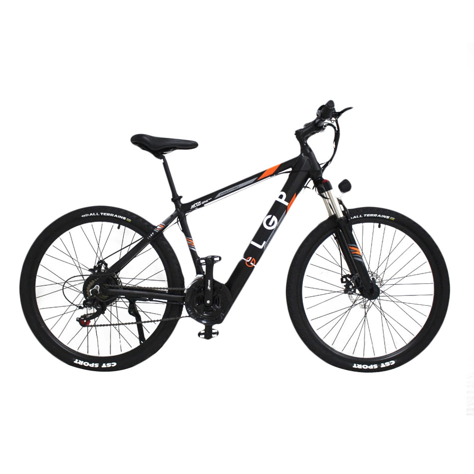 Lgp Mountain E Bike 36 V 250 W 'Rebel'
