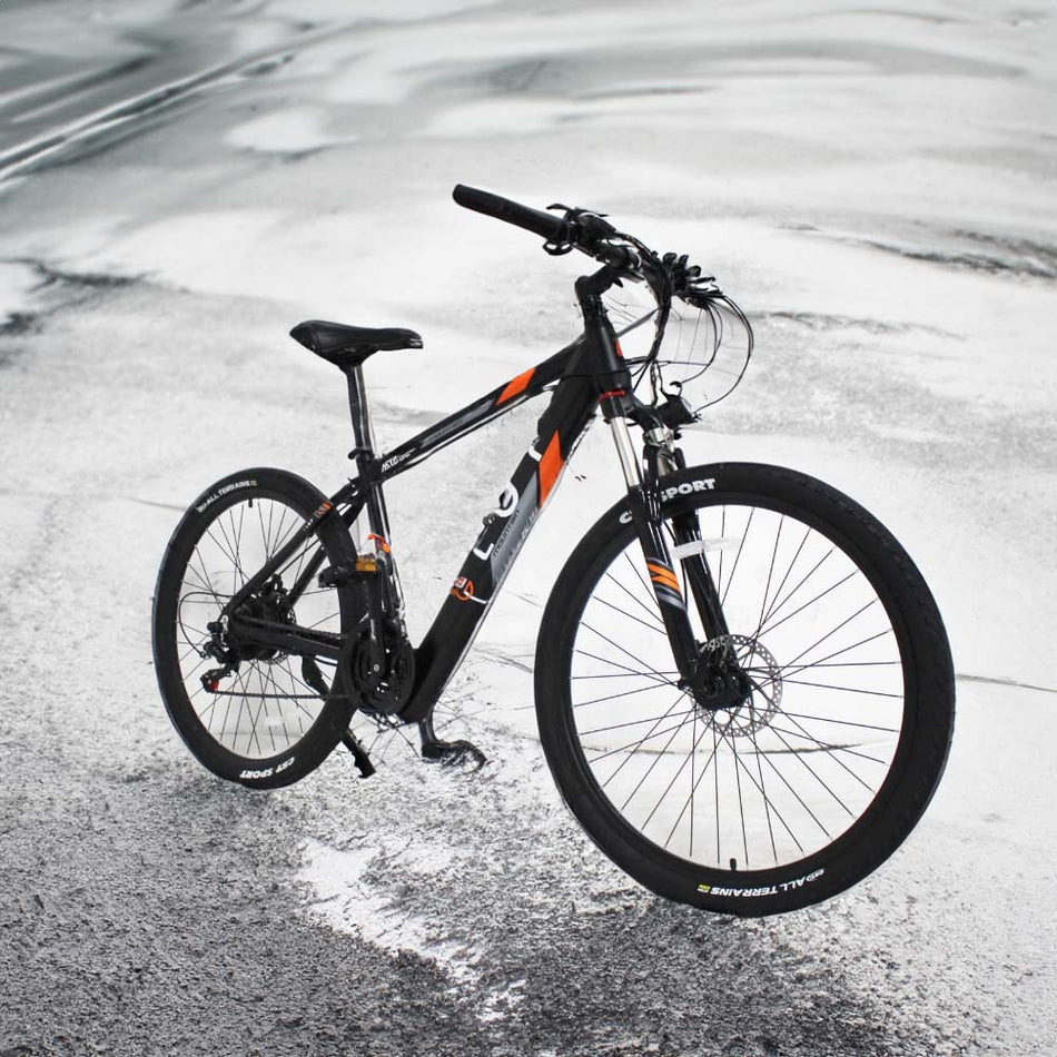 Lgp Mountain E Bike 36 V 250 W 'Rebel'