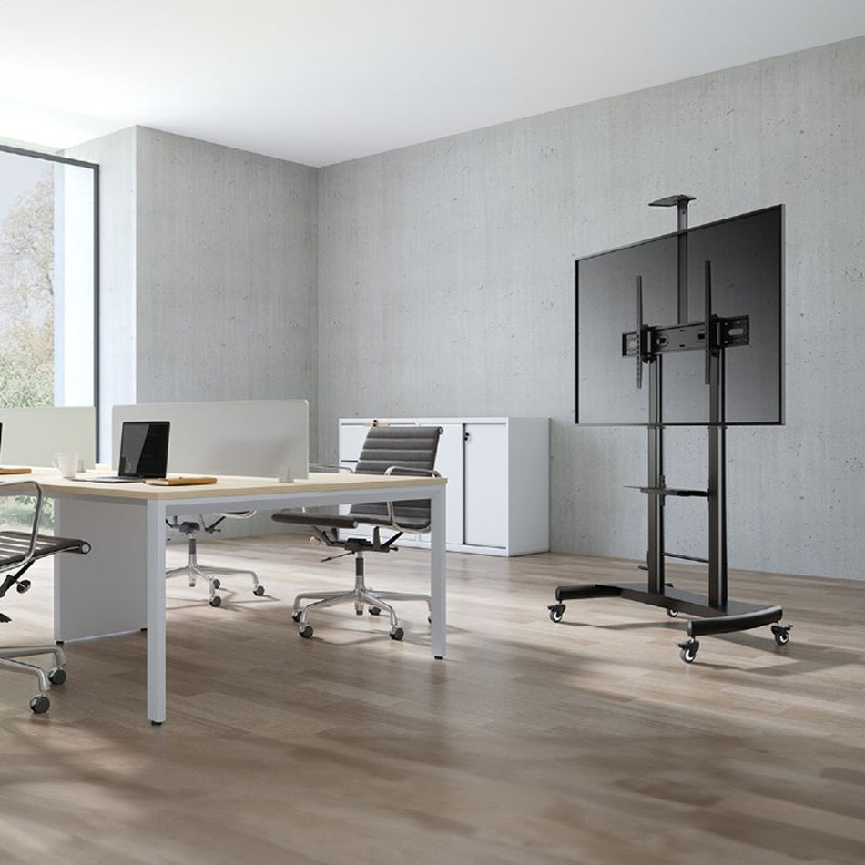 Gembird Height Adjustable Tv Floor Stand With Caster Wheels 60' 100'