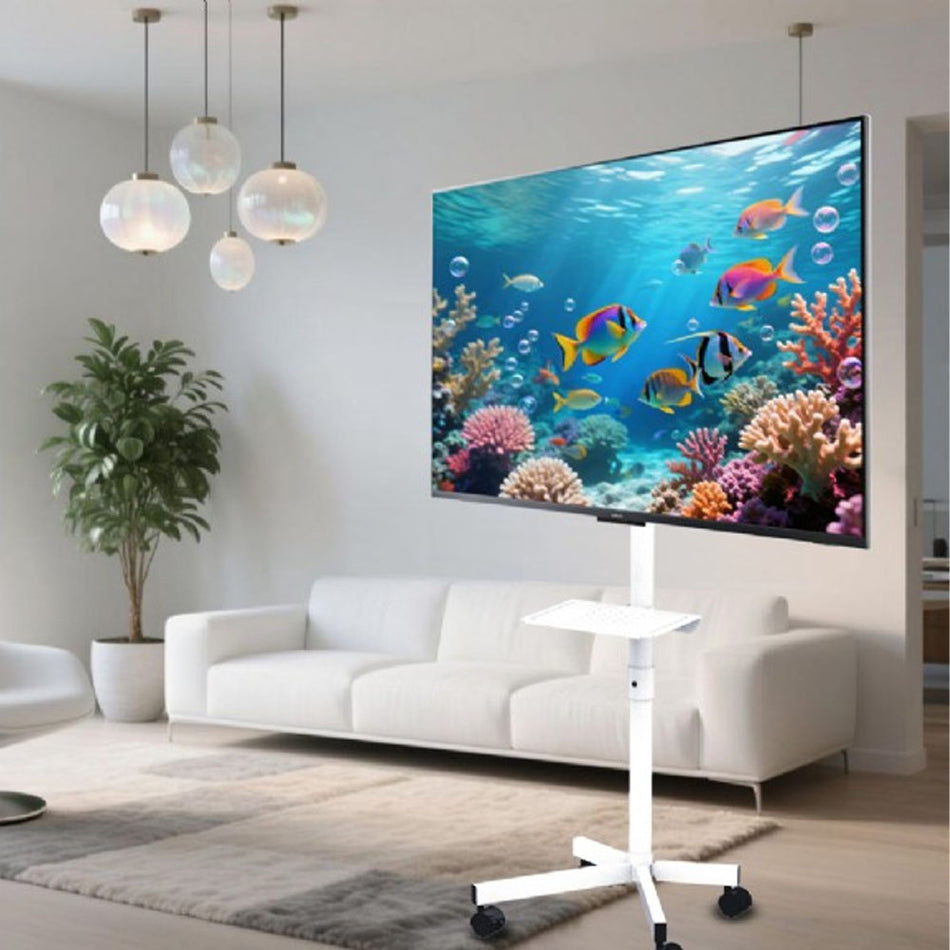 Gembird Tv Floor Stand Tilt With Caster Wheels 32' 55' White